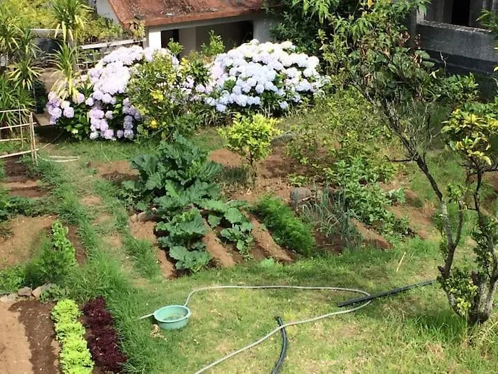 Дом отдыха Вилла Quinta Da Colina Сан-Висенти